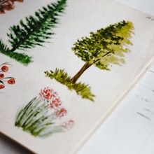 Watercolour pine trees in a sketchbook