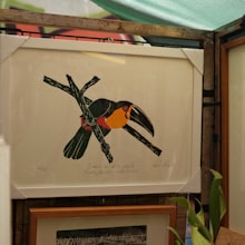 Framed toucan print